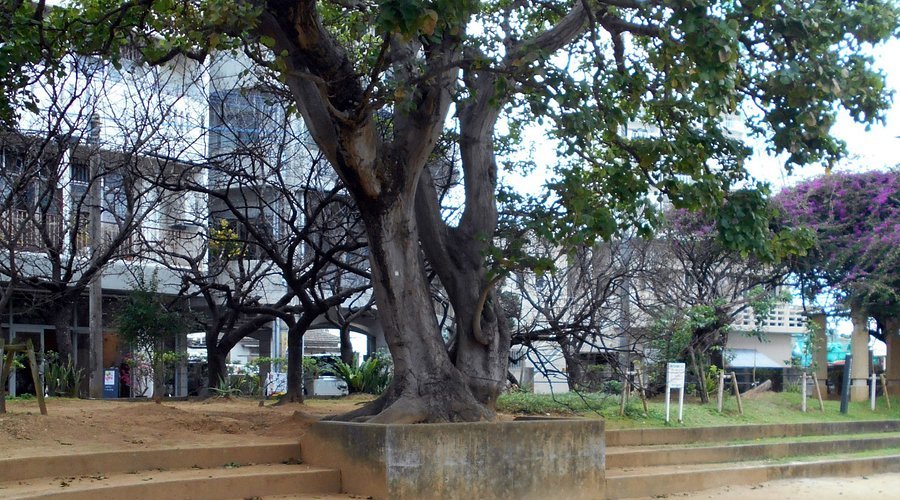 🌳 마키시 공원 (마키시코엔) 이미지 6